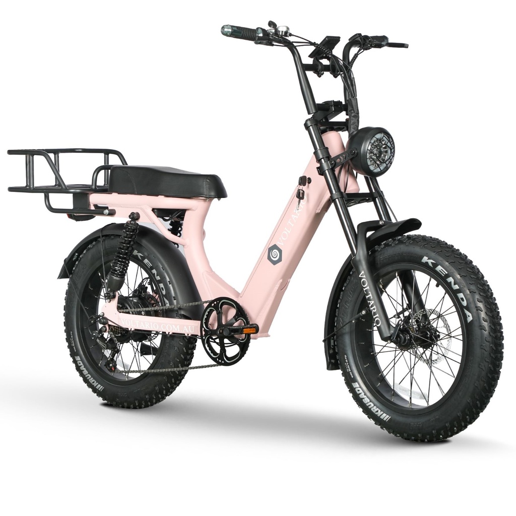 Pink Rose, Pictorial Right.jpg