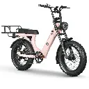 Pink Rose, Pictorial Right.webp