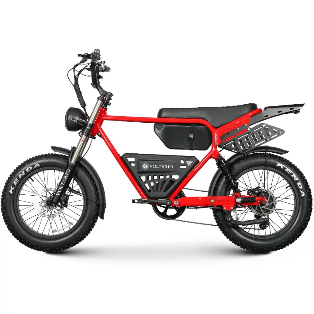 Leopard, Red, Left.webp